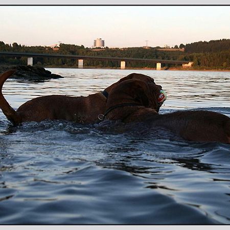 Bungalow Direkt Am Wasser Zeulenroda-Triebes Екстериор снимка